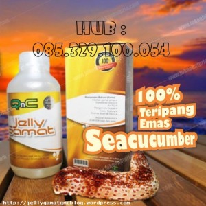 QnC-Jelly-Gamat-1024x790